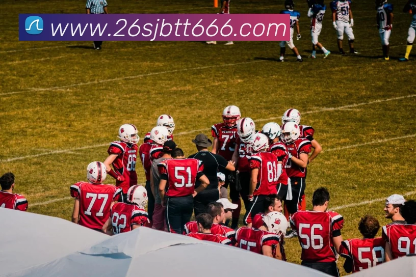 欧宝体育注册平台生态图