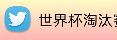 世界杯淘汰赛分区 Logo